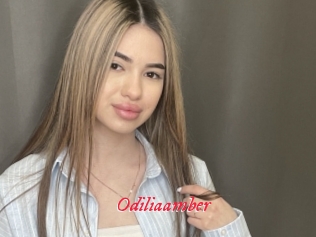 Odiliaamber