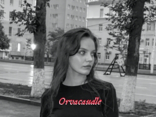 Orvacaudle