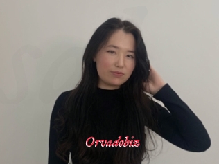 Orvadobiz