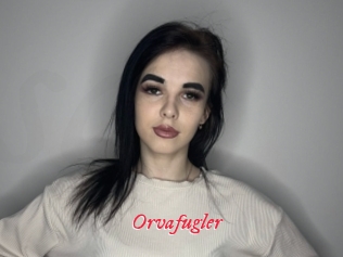 Orvafugler