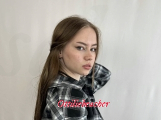 Ottiliebeacher