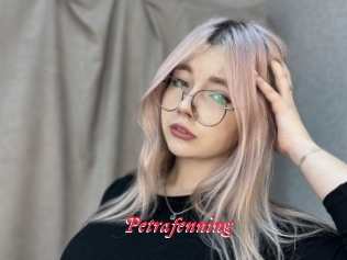 Petrafenning