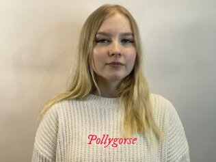 Pollygorse
