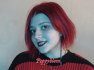 Poppyblom