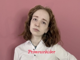 Primrosebisbee