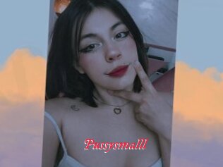 Pussysmalll