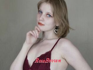 RosaBrown