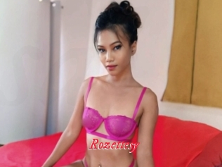 Rozettesy
