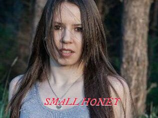 SMALL_HONEY