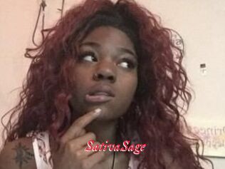 Sativa_Sage