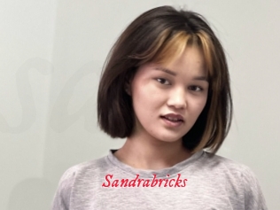 Sandrabricks