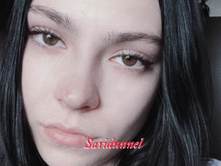 Saridunnel
