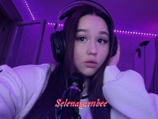 Selenagambee