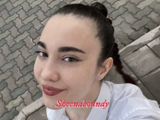 Sheenaboundy