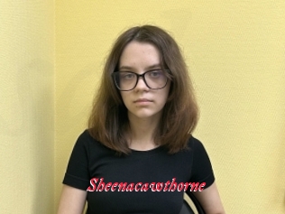 Sheenacawthorne