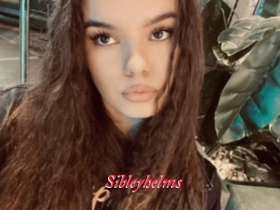 Sibleyhelms
