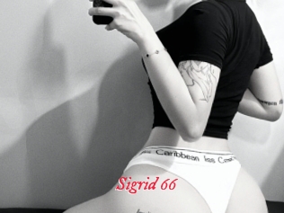 Sigrid_66