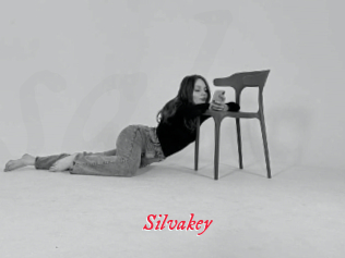 Silvakey