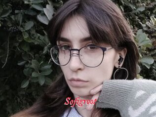 Sofigroot