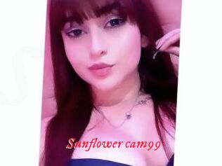 Sunflower_cam99