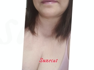 Suzecat