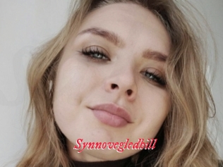 Synnovegledhill