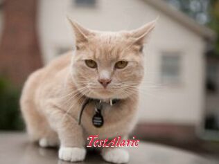 TestAlaric