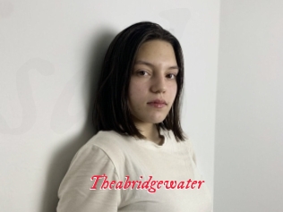 Theabridgewater