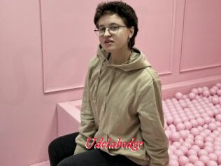 Udelabodge