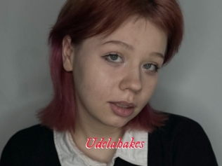 Udelahakes