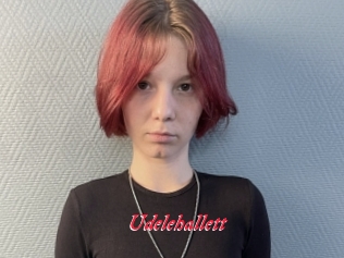 Udelehallett