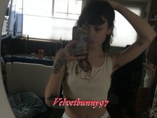 Velvetbunny97