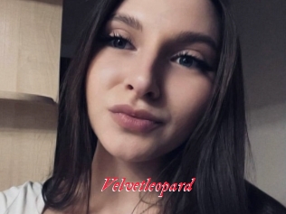 Velvetleopard