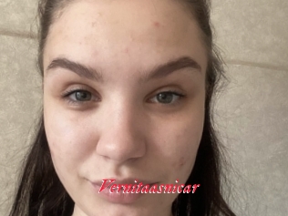 Vernitaasnicar