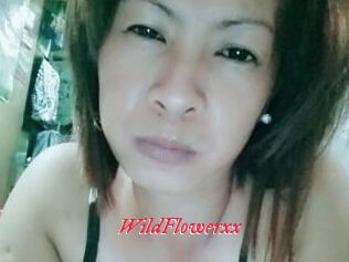WildFlowerxx