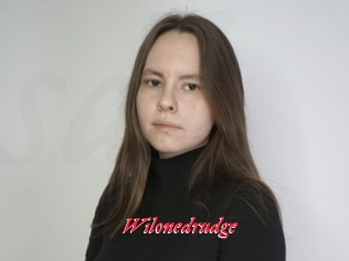 Wilonedrudge