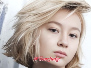 Wilonefudge
