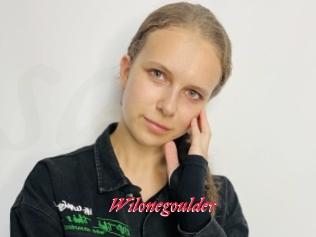 Wilonegoulder