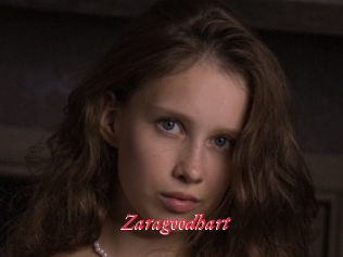 Zaragoodhart